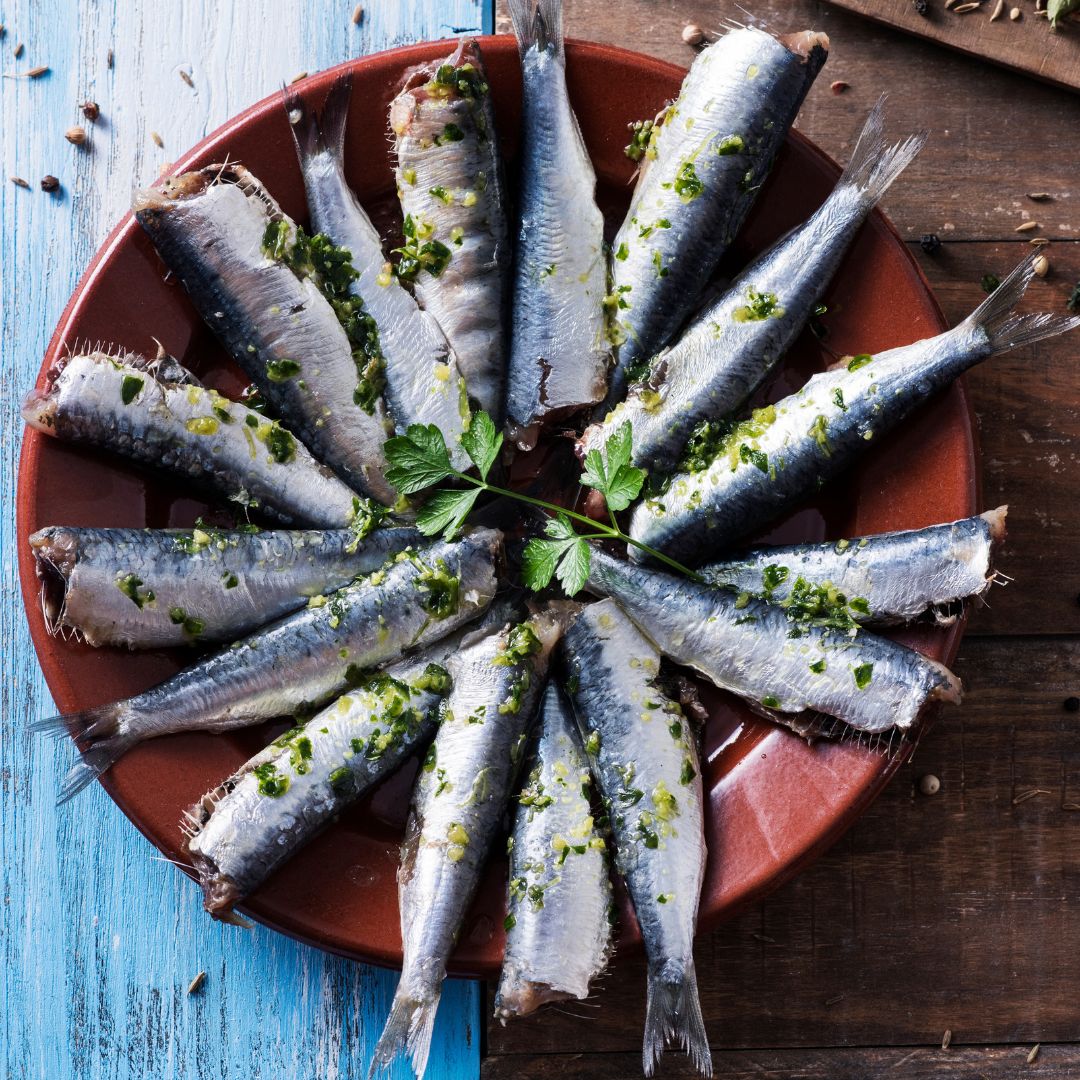 sardines fraiches herbe