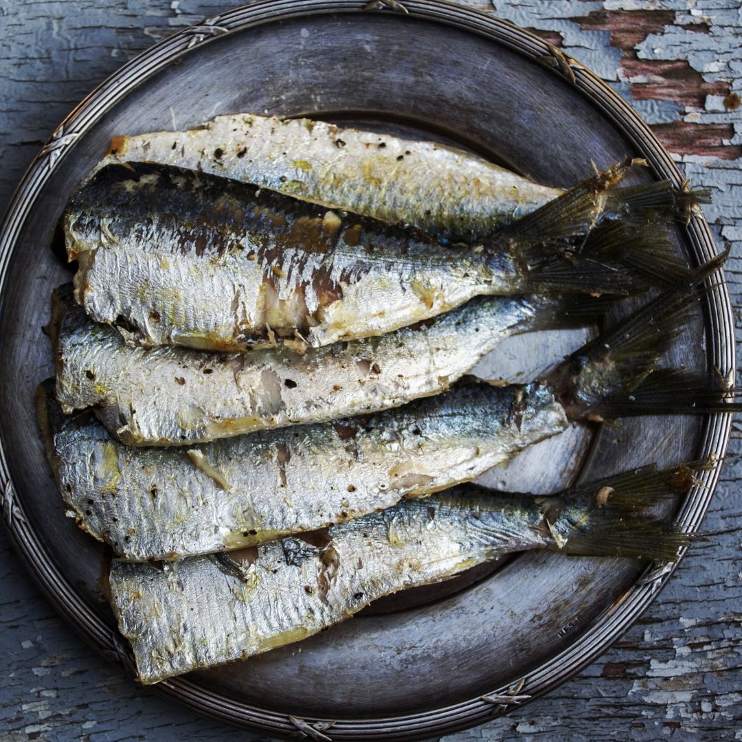 sardines sans tête