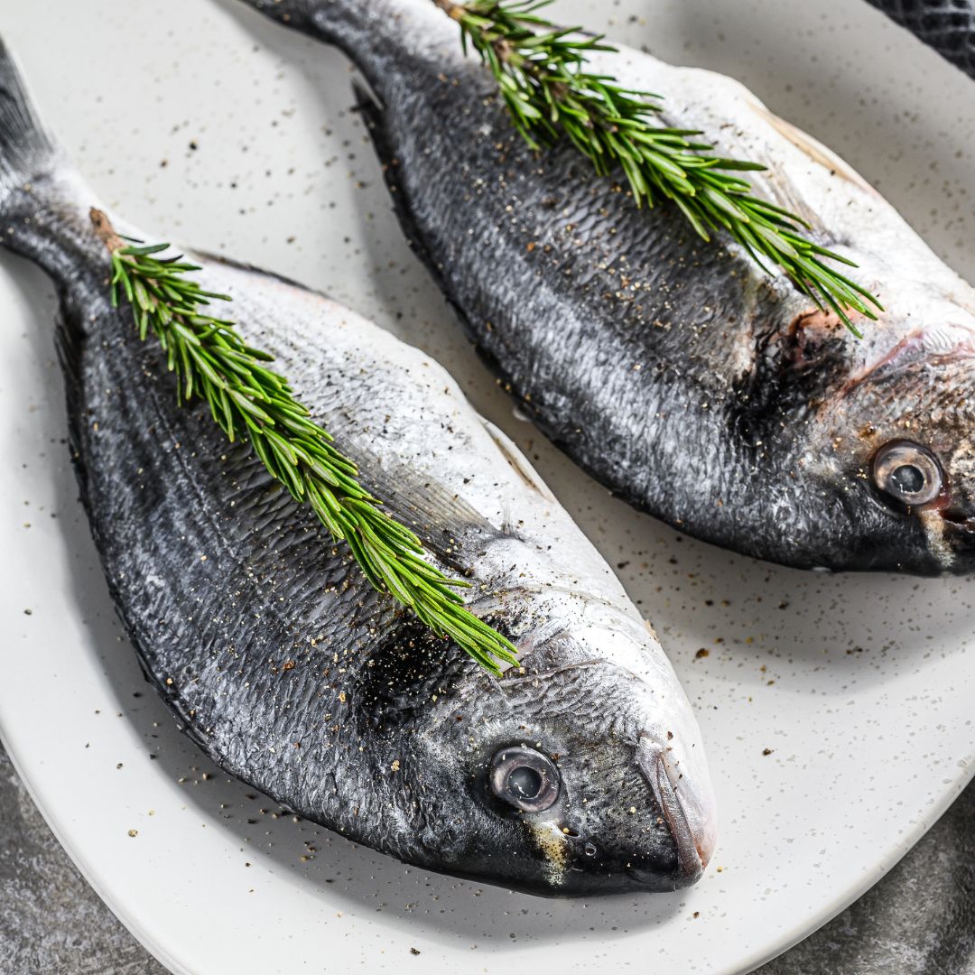 dorade grise - poisson frais