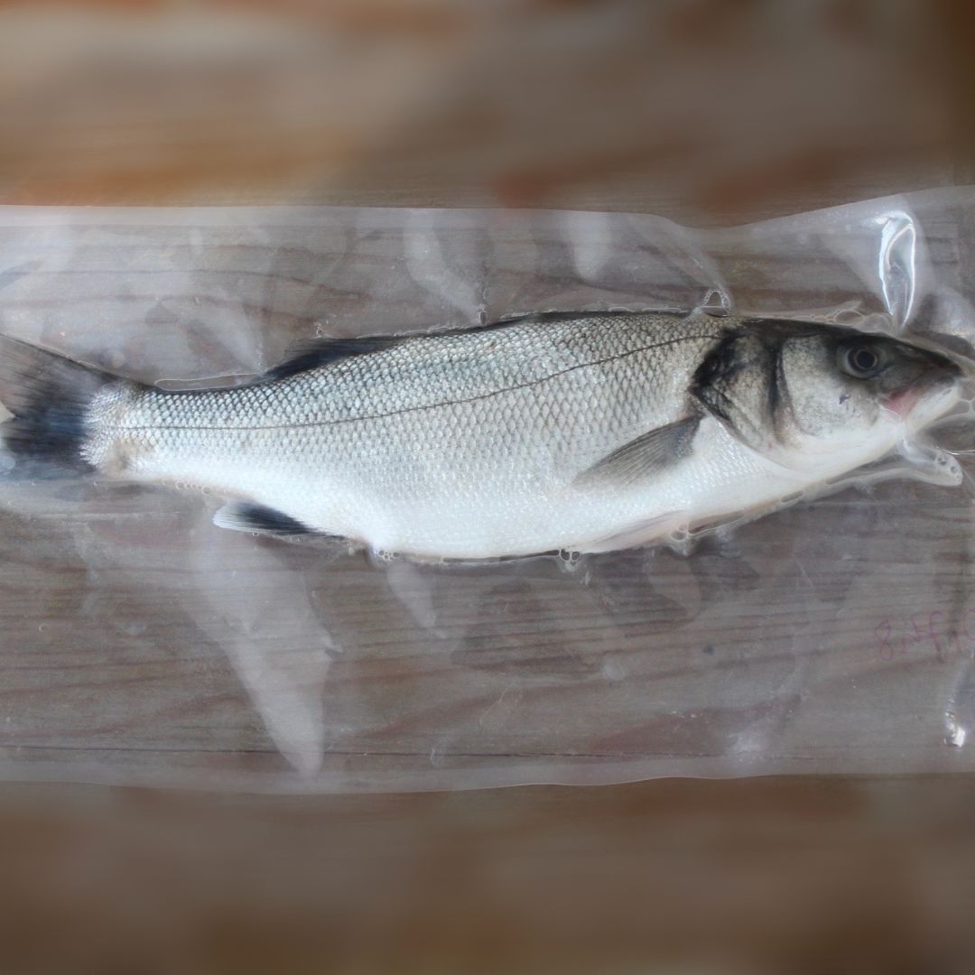 bar de ligne entier - poisson frais