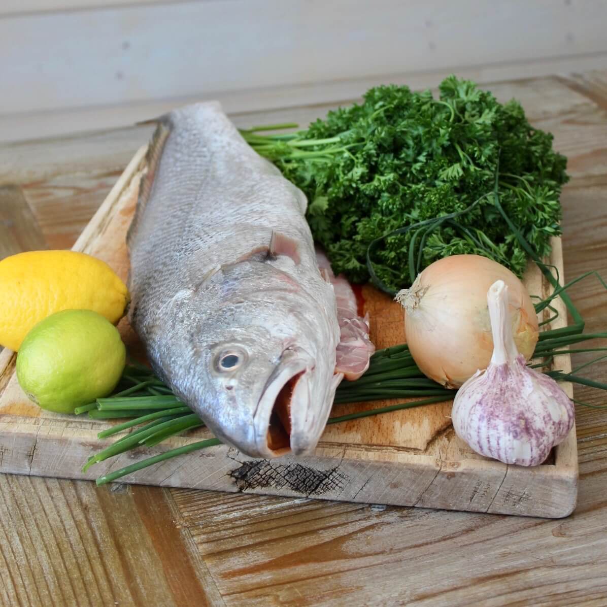 maigre entier poisson frais