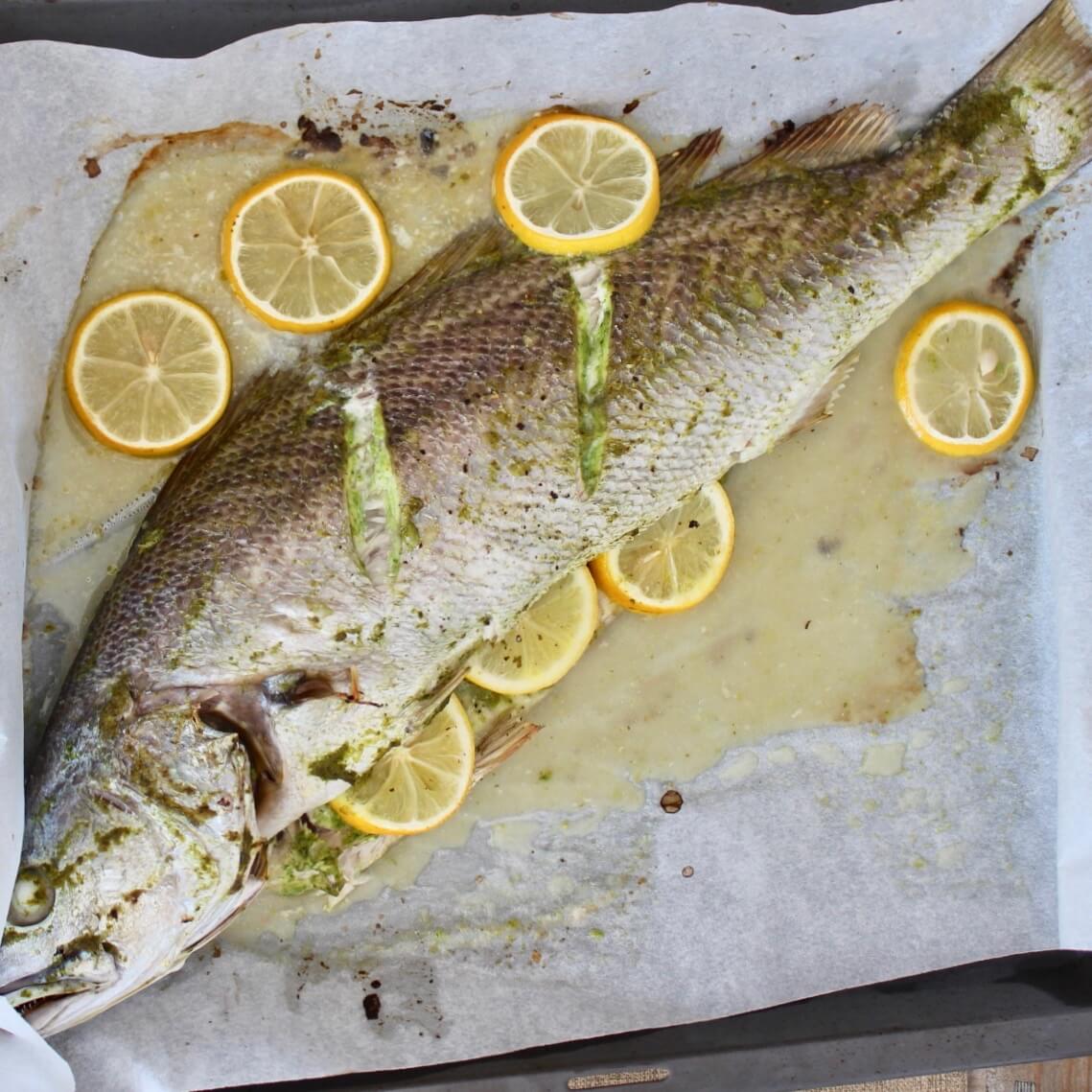 maigre entier cuit au four poisson frais