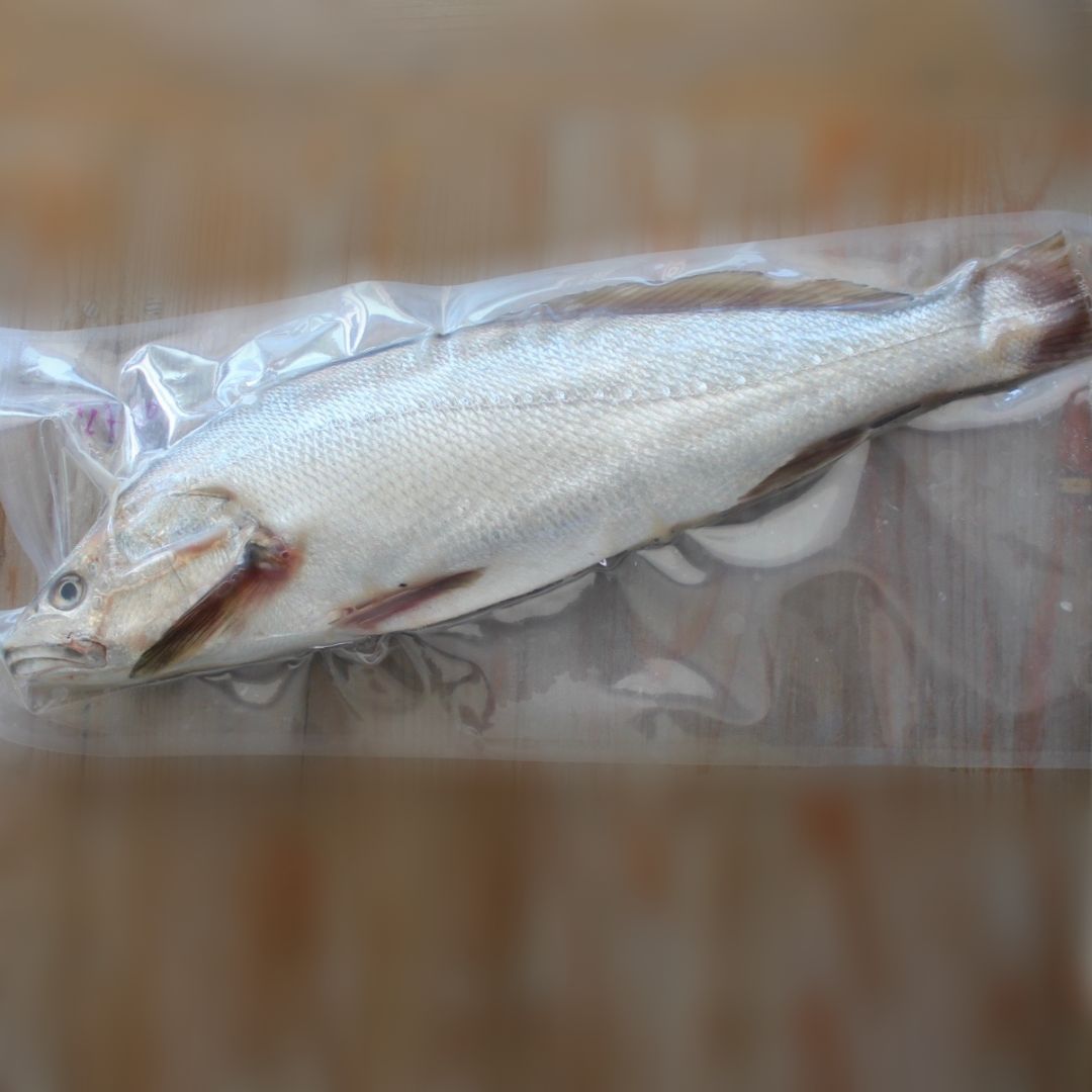 maigre entier sous vide